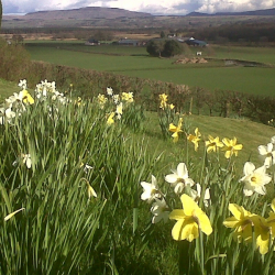 Bed And Breakfast Loch Lomond