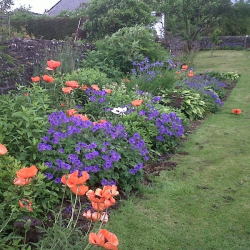 Bed And Breakfast Loch Lomond